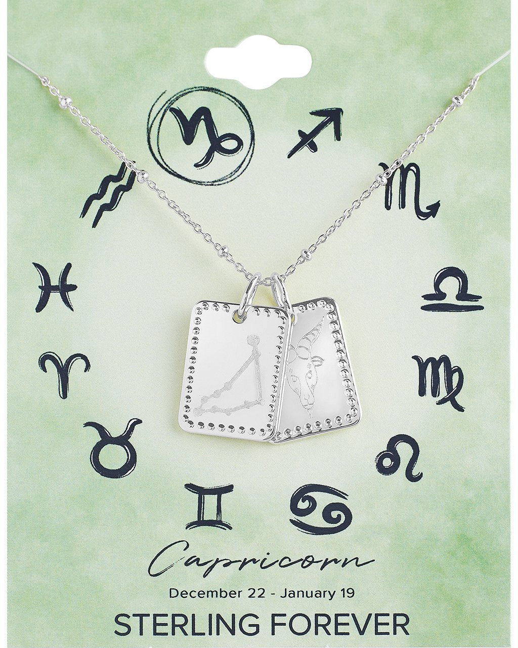 Zodiac Tag Necklace