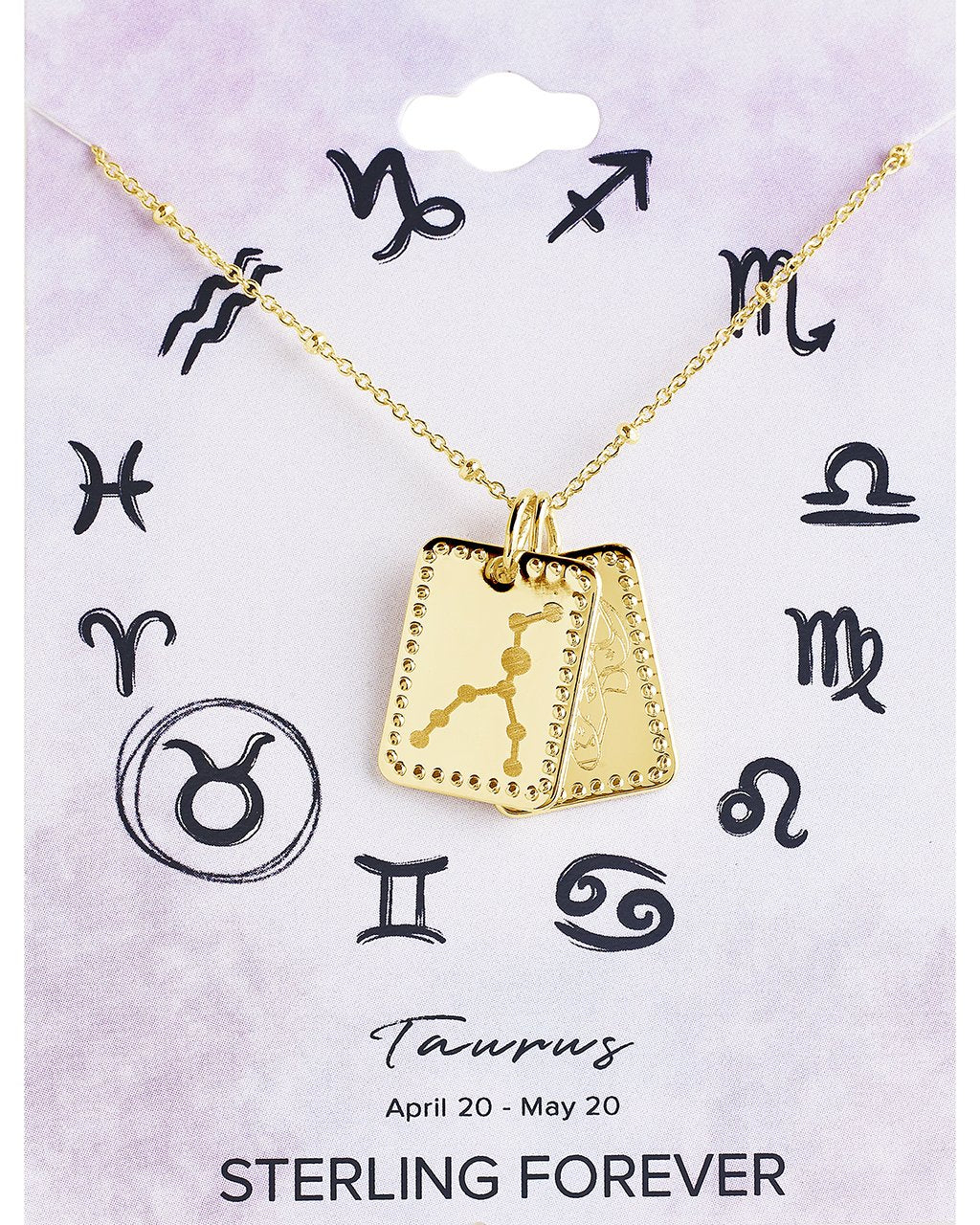 Zodiac Tag Necklace
