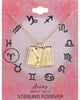 Zodiac Tag Necklace