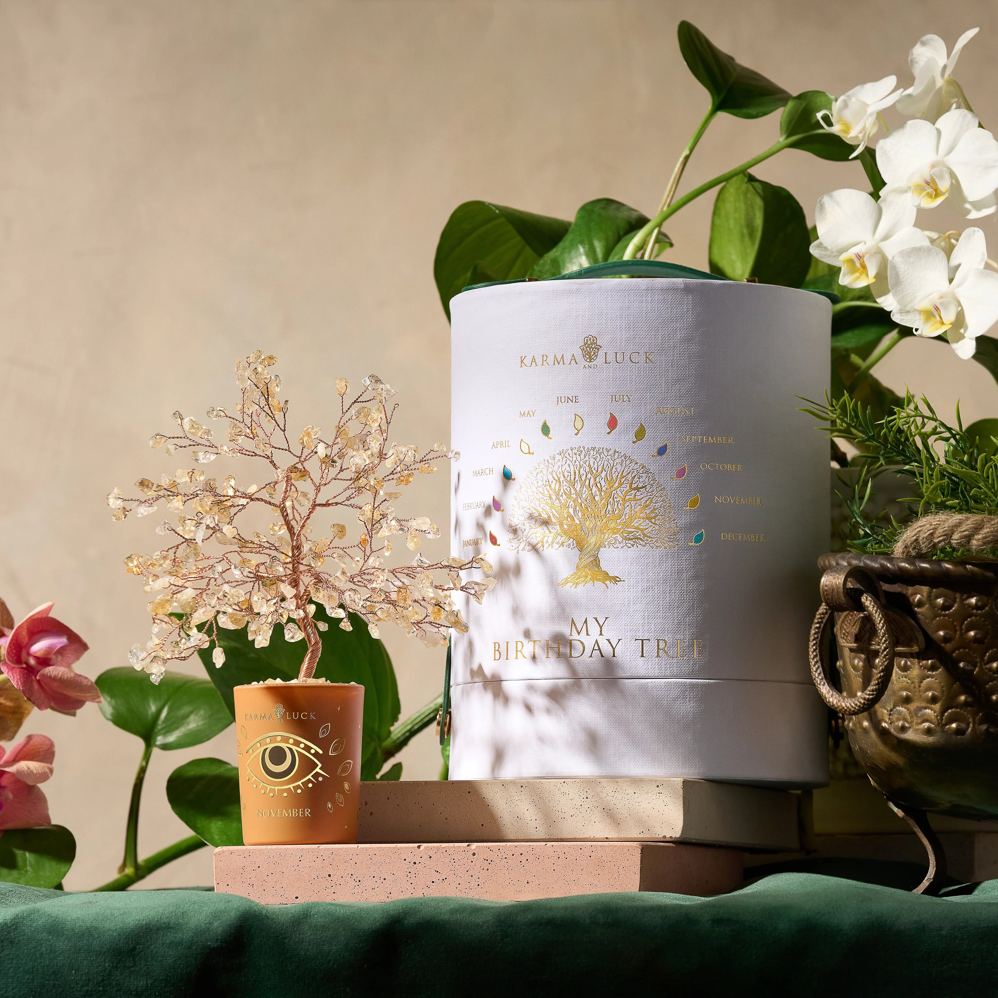 Illuminated Path Citrine November Birthday Tree