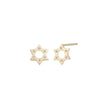 Star of David earrings