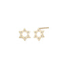 Star of David earrings