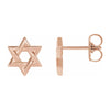 14K Yellow, White or Rose Gold Star of David Post Earrings, 9.5mm