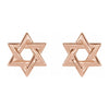 14K Yellow, White or Rose Gold Star of David Post Earrings, 9.5mm