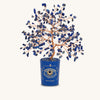 Intuitive Charm Lapis September Birthday Tree