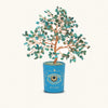 Soulful Existence Turquoise December Birthday Tree