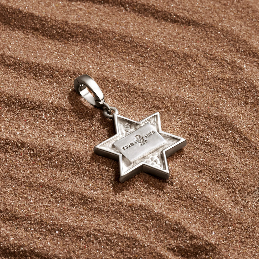 Ancestral Protector - Tiger’s Eye Star of David Charm