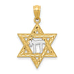 14k Yellow Gold & Rhodium D/C Star of David & Chai Pendant, 16mm