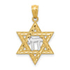 14k Yellow Gold & Rhodium D/C Star of David & Chai Pendant, 16mm