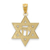 14k Yellow Gold & Rhodium D/C Star of David & Chai Pendant, 16mm