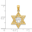 14k Yellow Gold & Rhodium D/C Star of David & Chai Pendant, 16mm