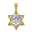 14k Two Tone Gold 3D Star of David & Menorah Pendant, 17 x 27mm