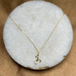 Zodiac Pearl Necklace