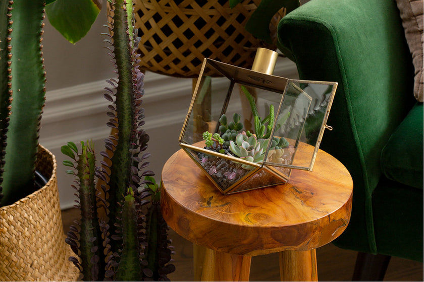 Jewish Icons Gift Set - Tag Sale